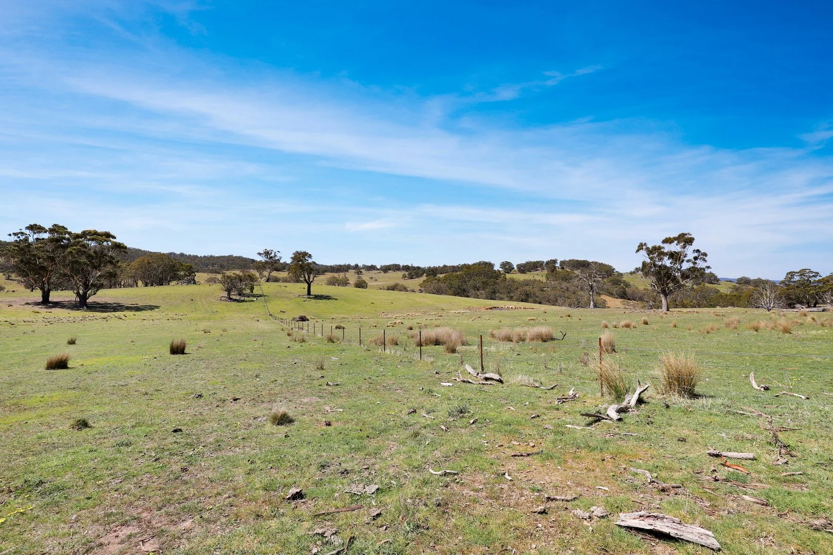 Additional image 22 of "Glenroy" Corrowong Road, Delegate NSW 2633