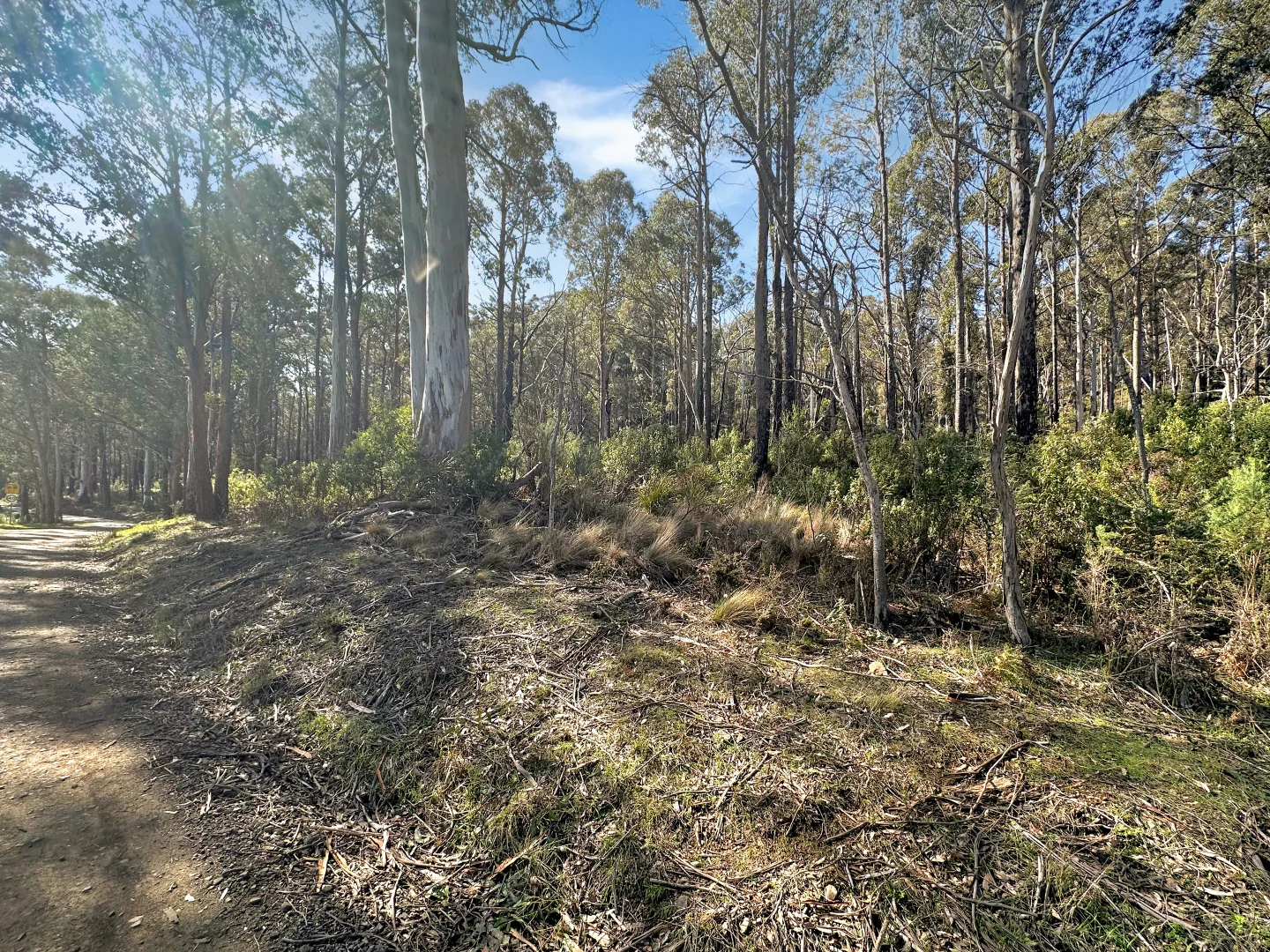 Additional image 5 of Lot 5 Gardiners Creek Road, St Marys TAS 7215