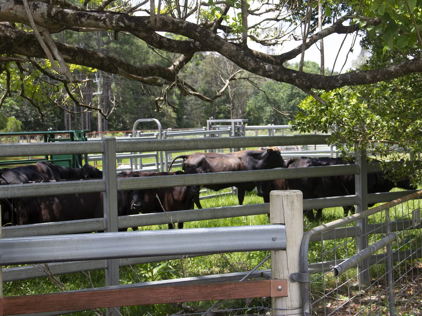 Additional image 30 of 400 Chilcotts Road, Chillingham NSW 2484