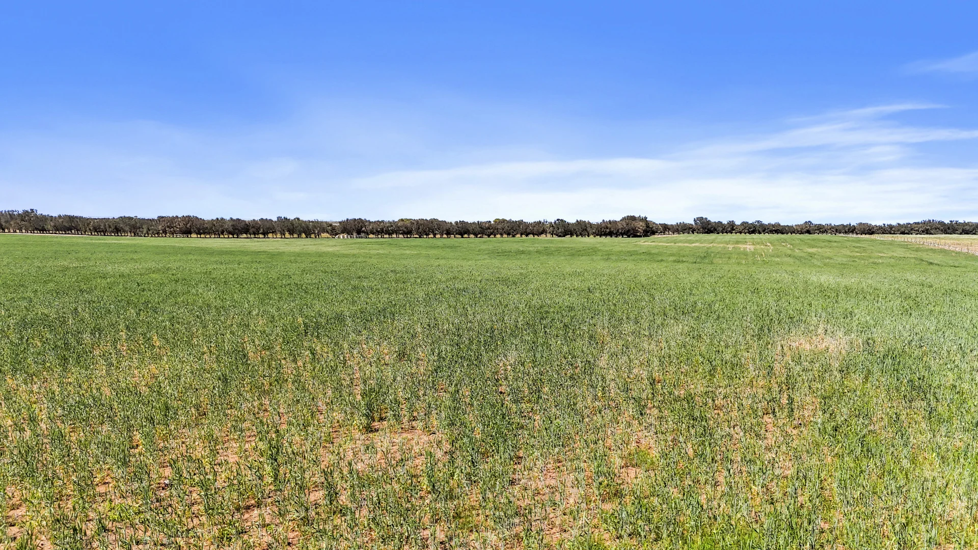 Additional image 9 of Lot 1 Tolderol Road, Langhorne Creek SA 5255