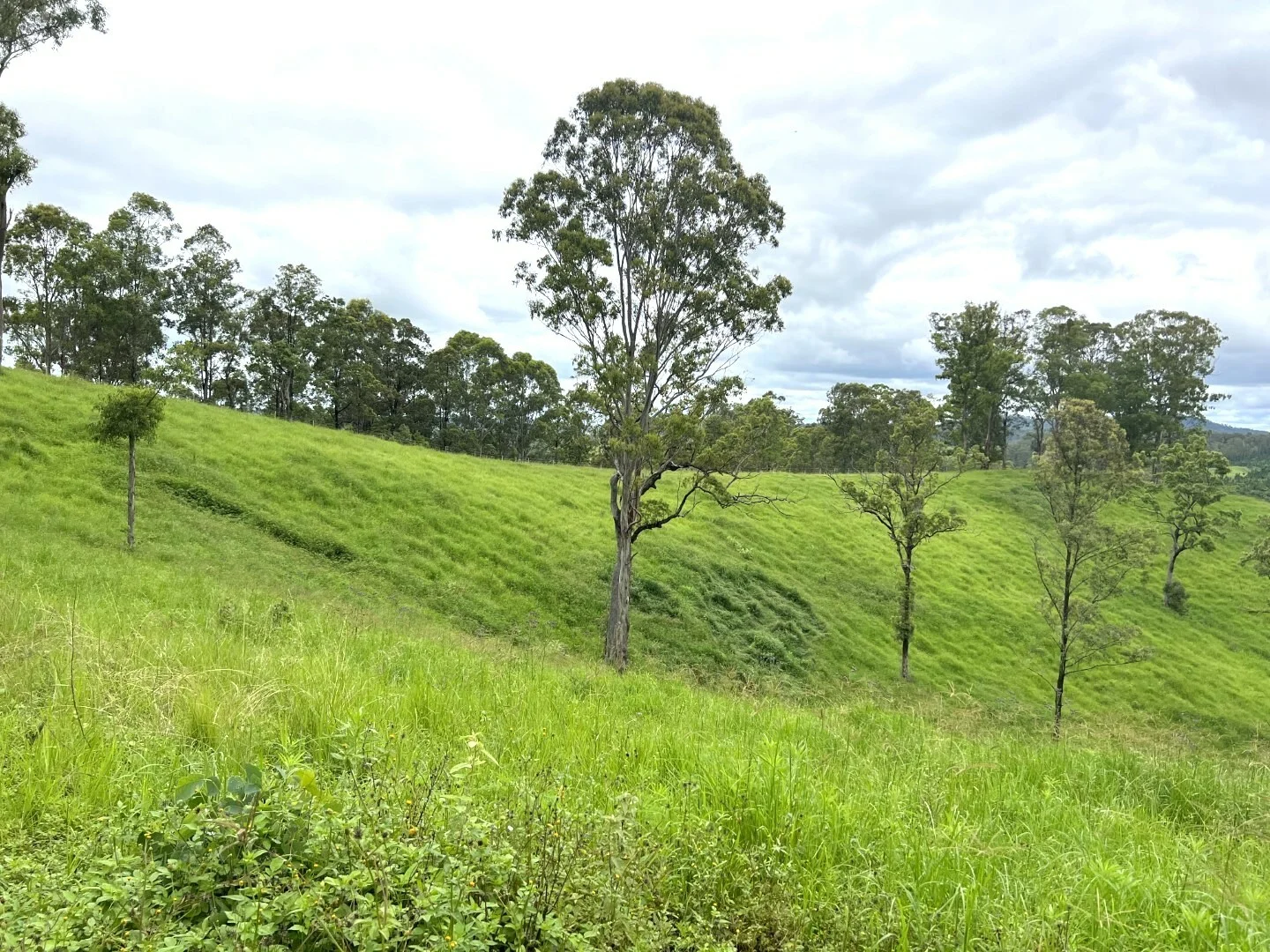 Additional image 25 of 59 Wyndham Road, Wyneden NSW 2474