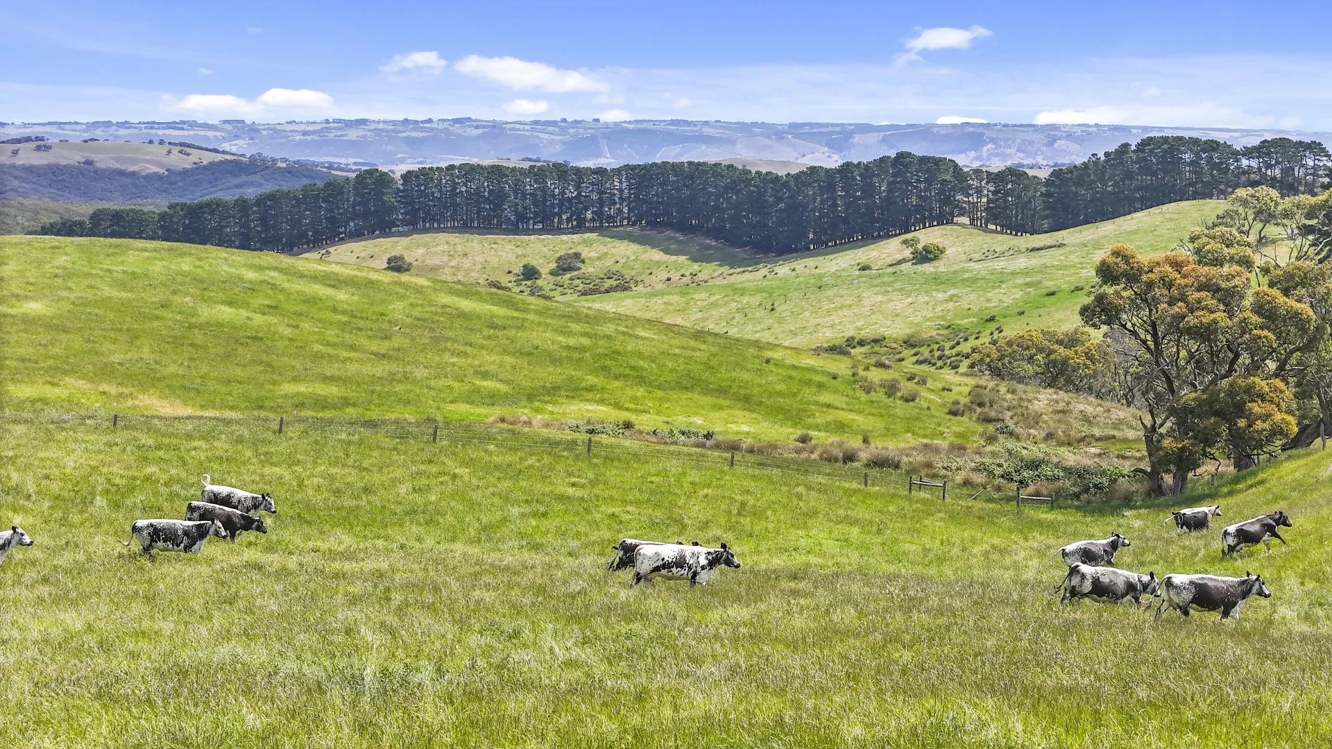 Additional image 19 of 137 Faggotter Road, Myponga SA 5202