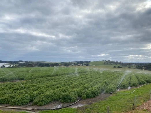 Additional image 11 of Lot 1 Blacks Road, Wesley Vale TAS 7307