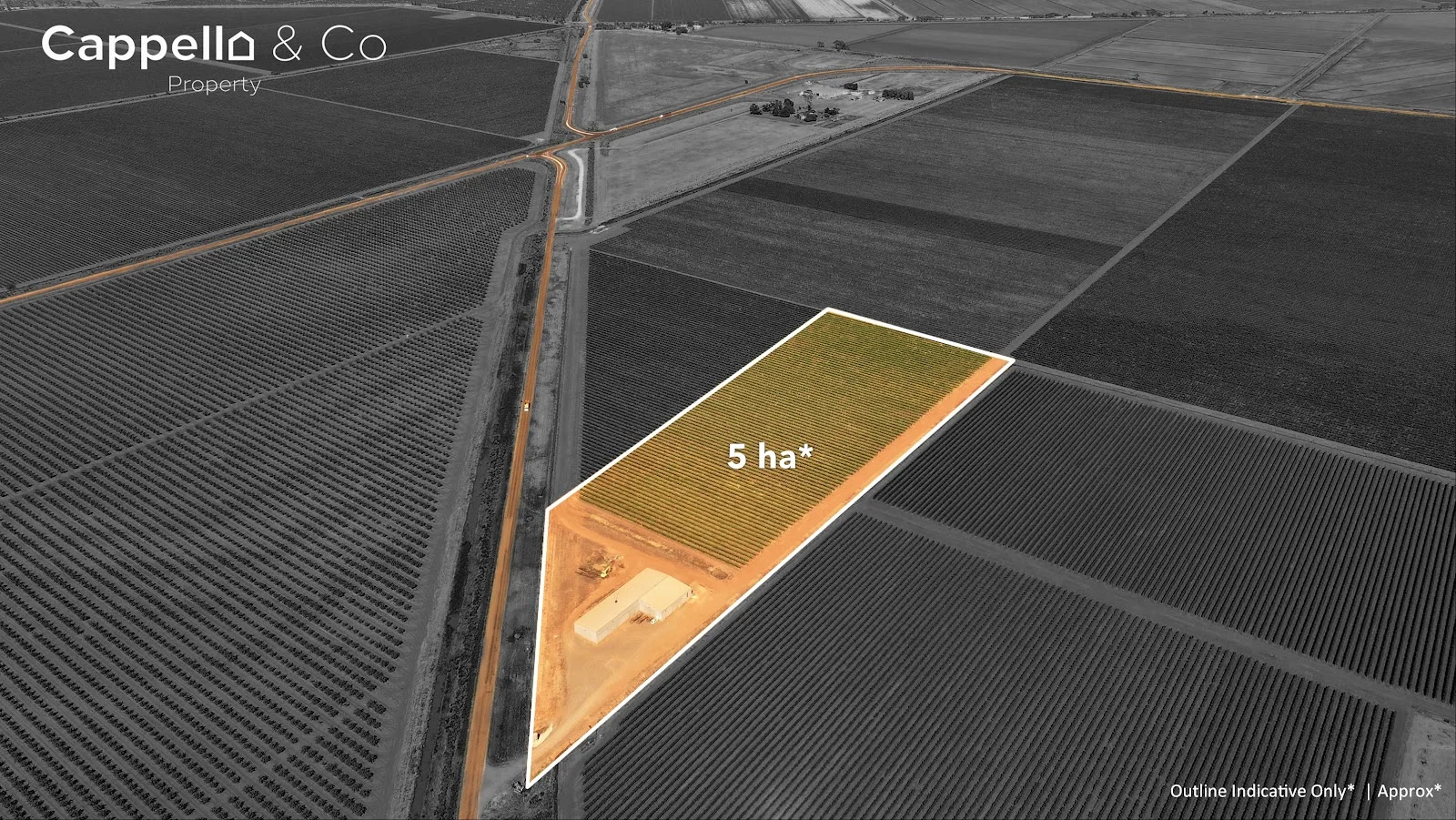 Additional image 2 of 244 Walla Avenue, Griffith NSW 2680