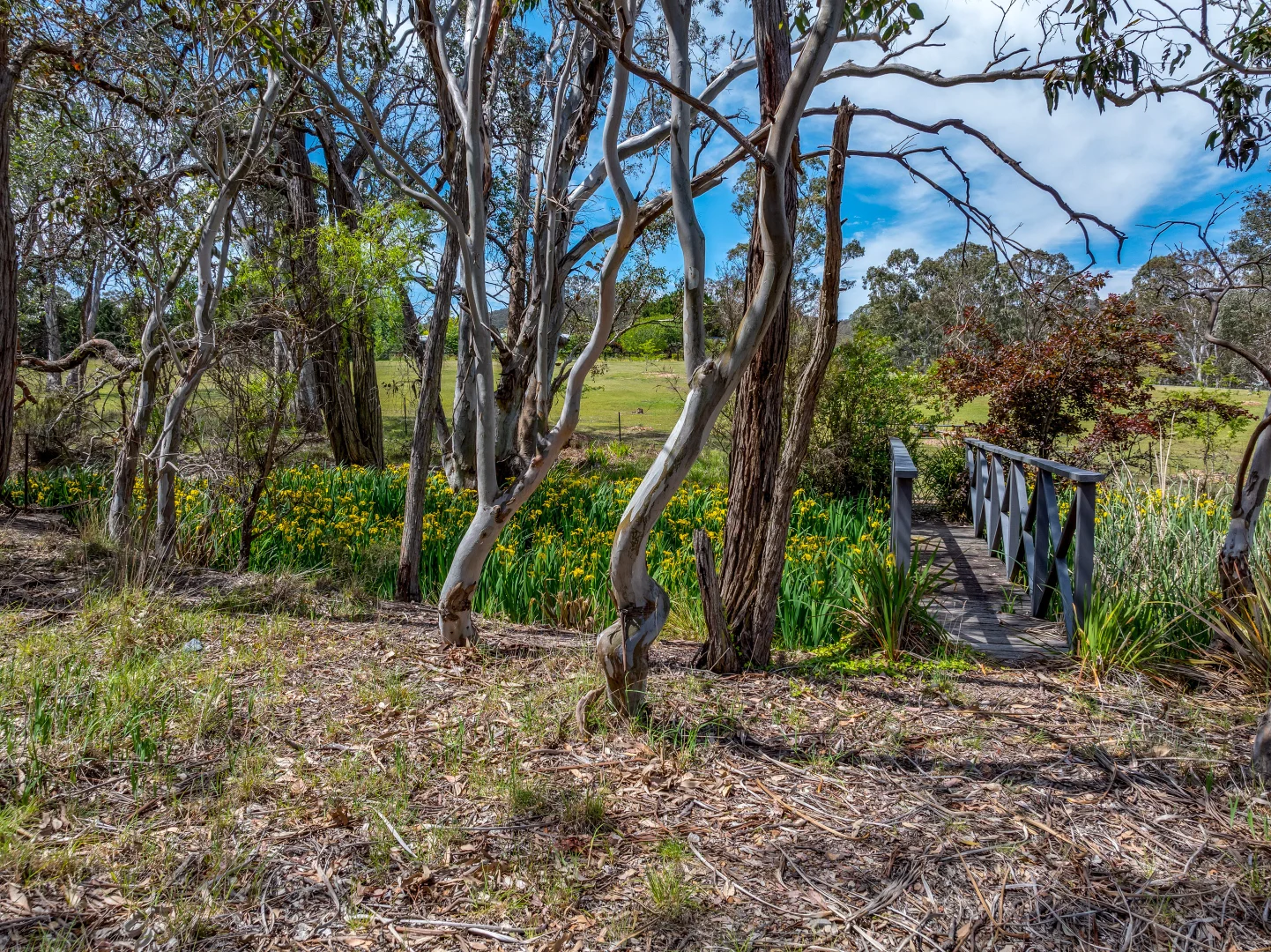 Additional image 21 of 729 Towrang Road, Towrang NSW 2580