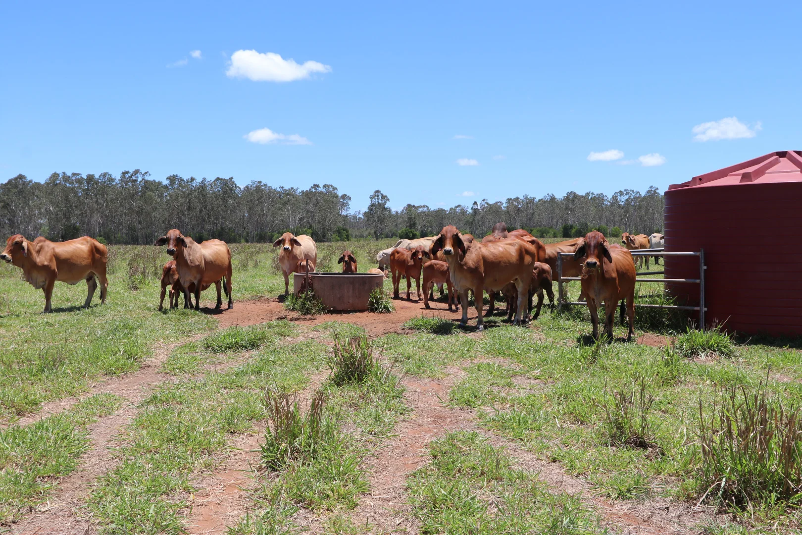 Additional image 2 of 330 Doonside Road, Jardine QLD 4702