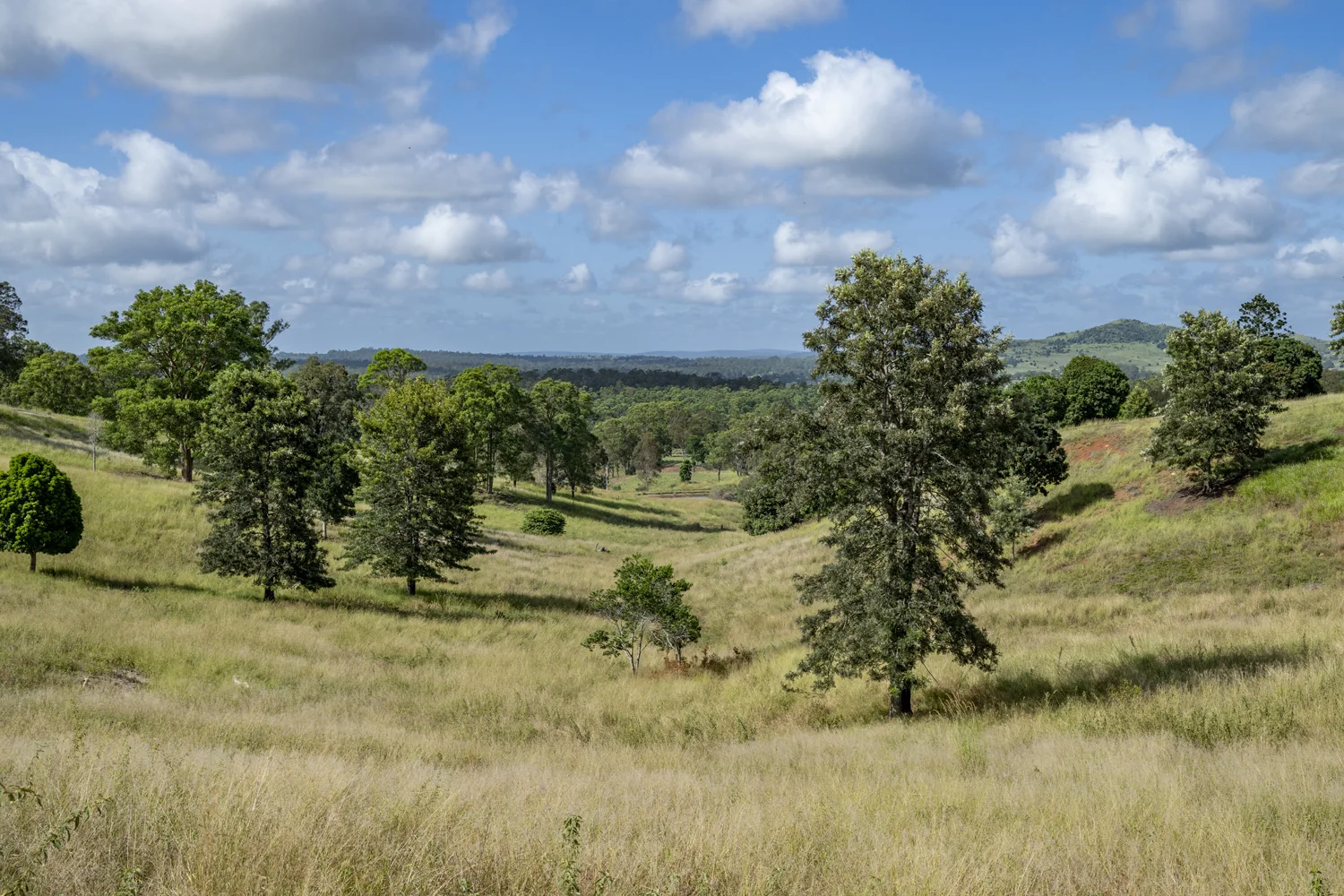 Additional image 3 of Goomeribong QLD 4601