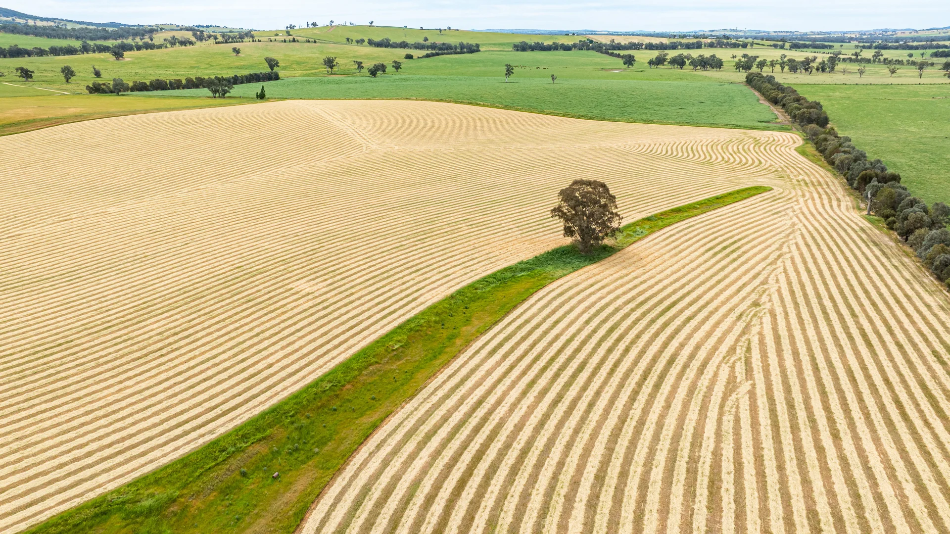 Additional image 5 of 1470 Yerong Creek Mangoplah Road, Mangoplah NSW 2652