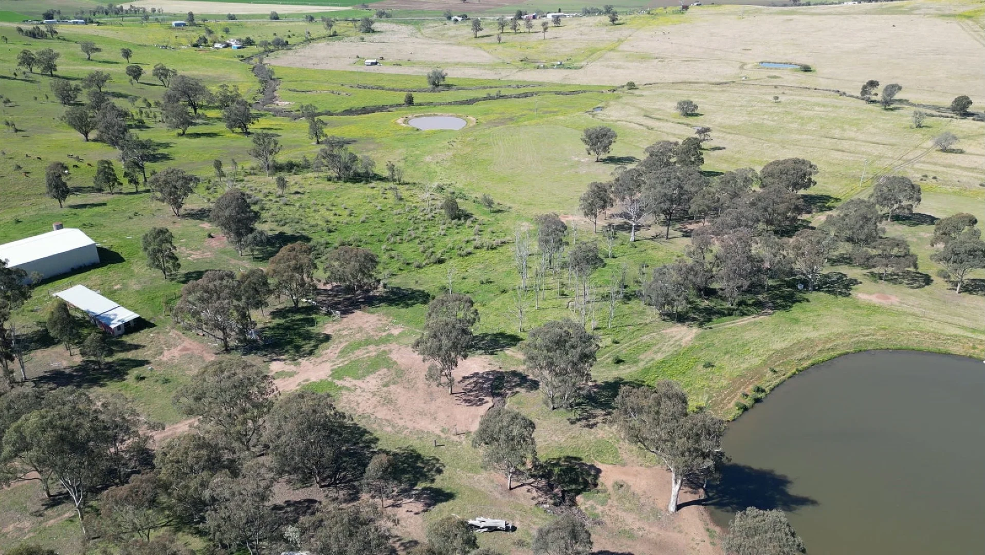 Additional image 59 of 207 Redmanvale Road, Jerrys Plains NSW 2330
