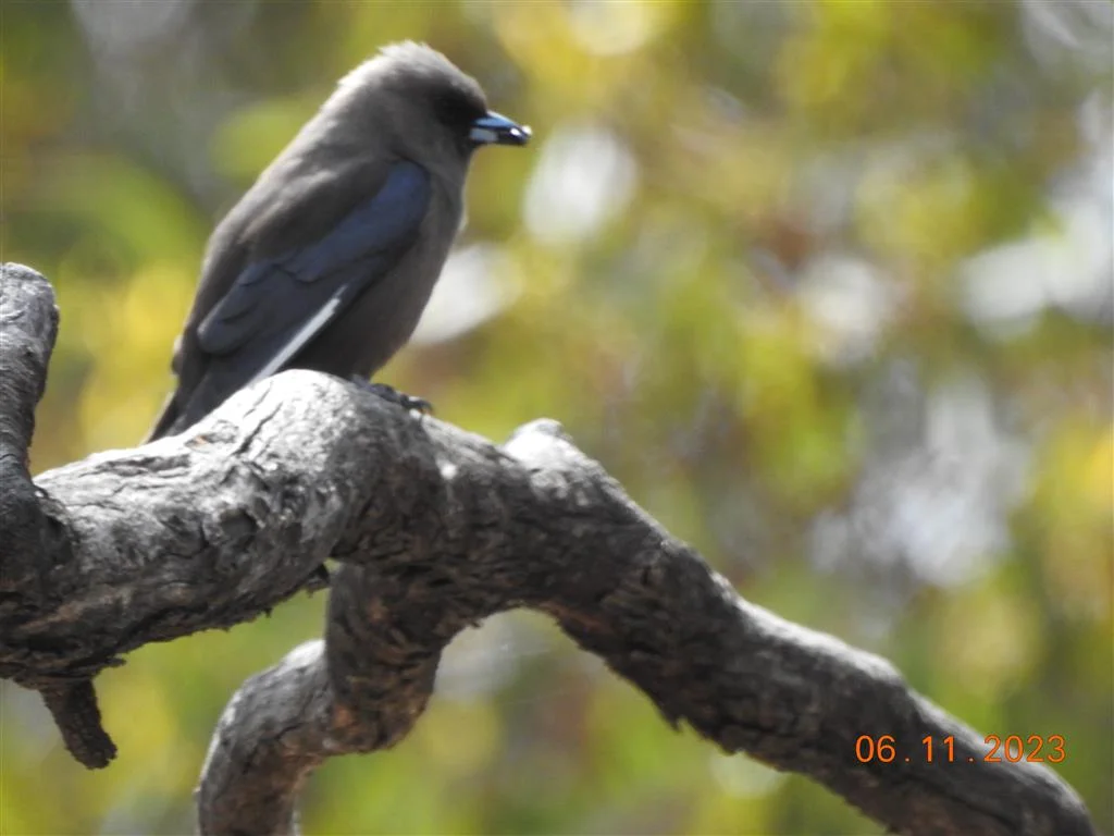 Additional image 7 of Lot 7 Wedderburn-Serpentine Rd, Glenalbyn VIC 3517