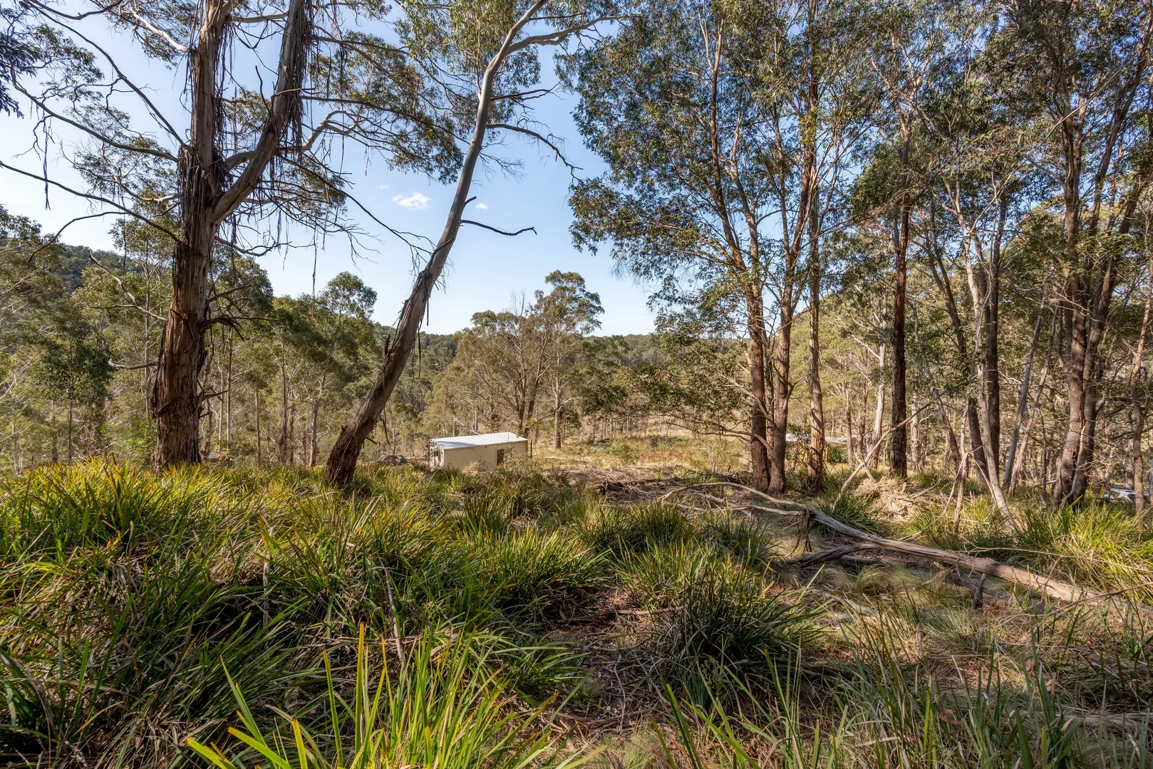 Additional image 2 of 153 Blue Bush Road, Wyanbene NSW 2622