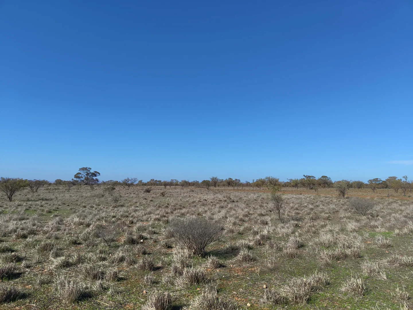 Additional image 2 of Lot 213 DUHRING ROAD, Wilmington SA 5485