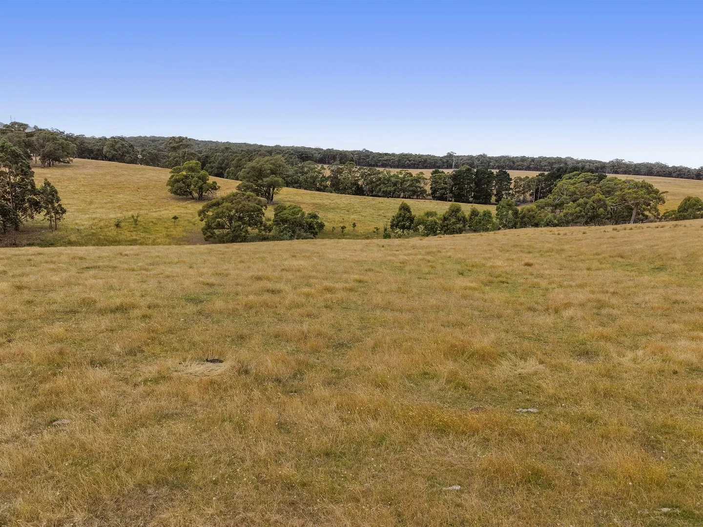 Additional image 8 of CA 39 Morrisons Lane, Korobeit VIC 3341