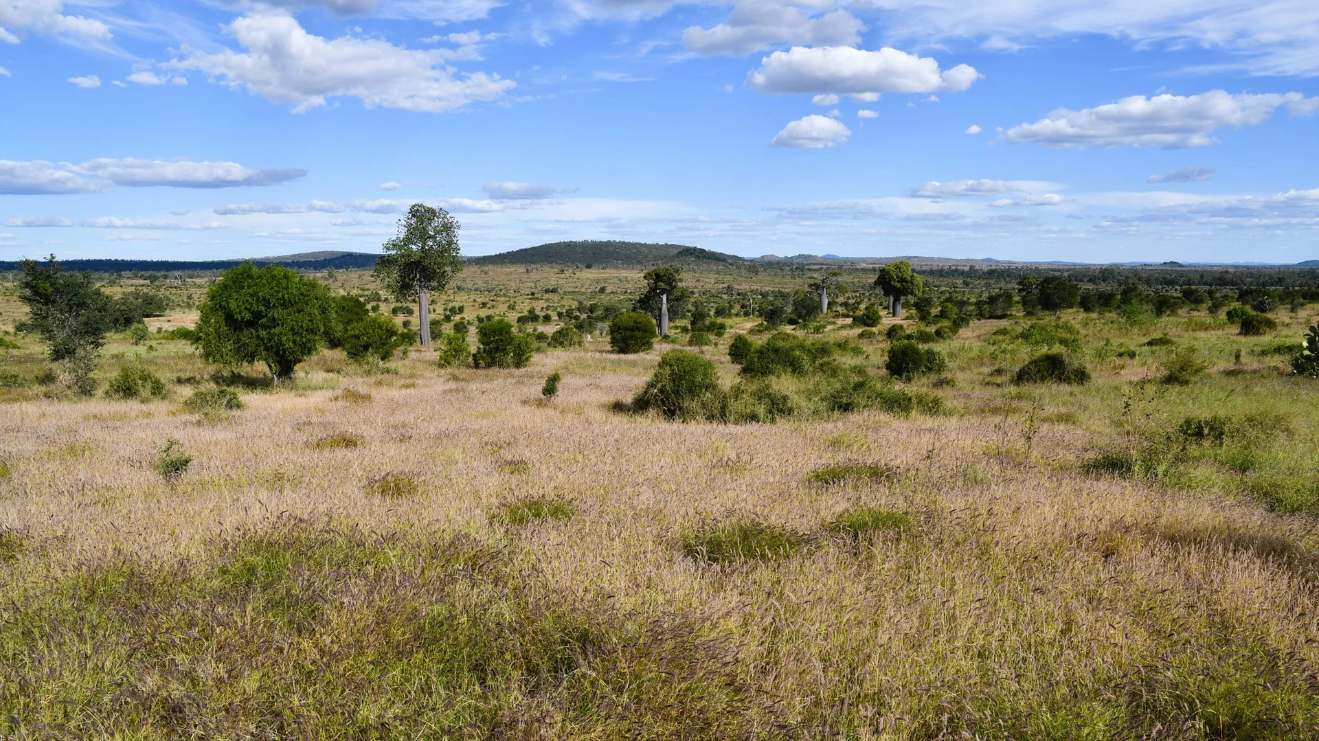 Additional image 9 of 360 Sewells Walloon Road, Castle Creek QLD 4715