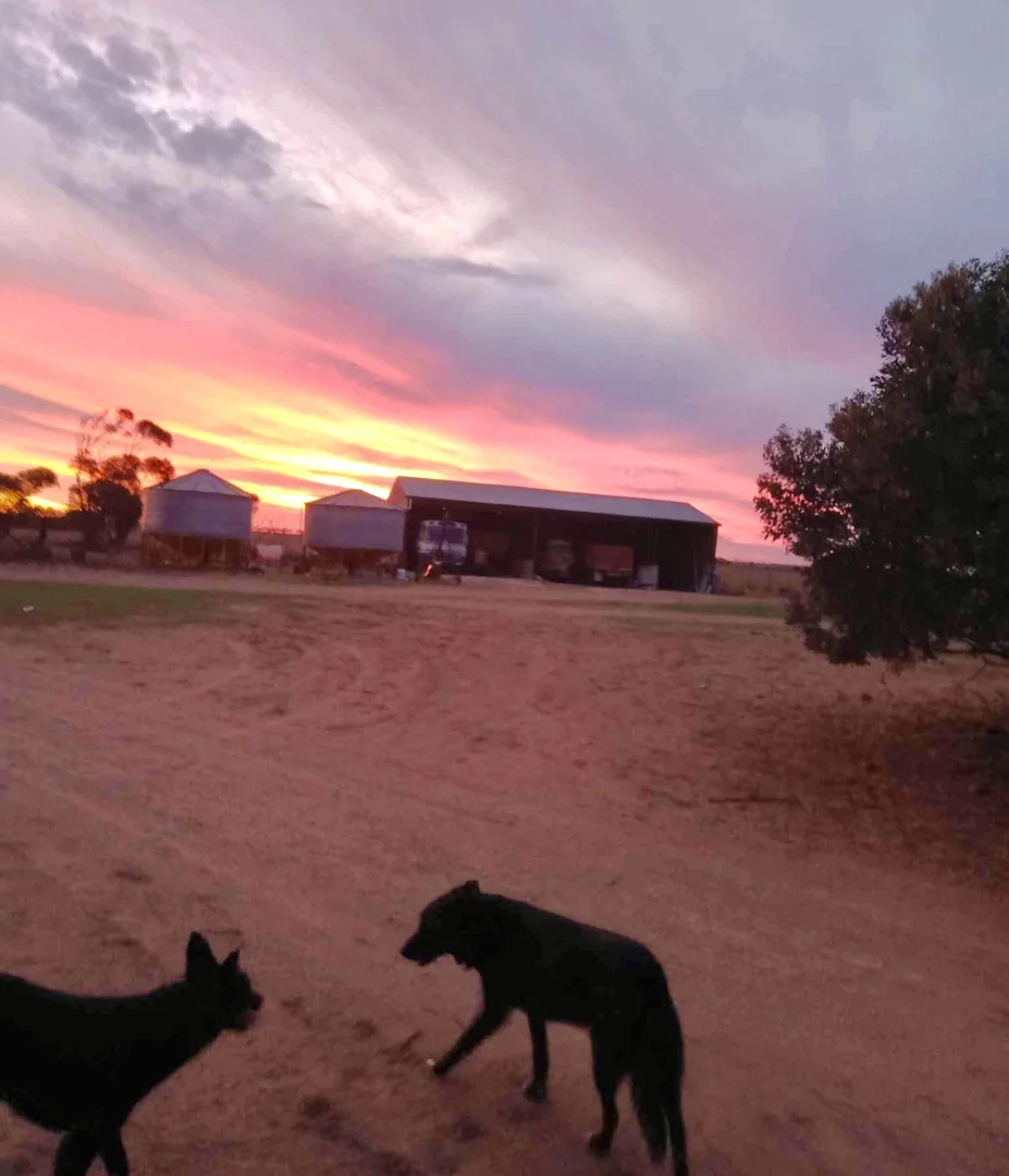 Additional image 4 of 1266 OTC Road, Wandana SA 5690