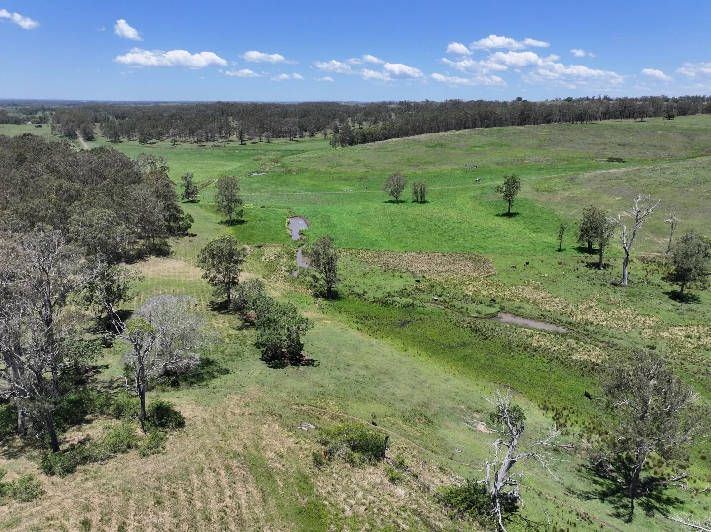 Additional image 12 of 600 Old Dyraaba Road, Casino NSW 2470