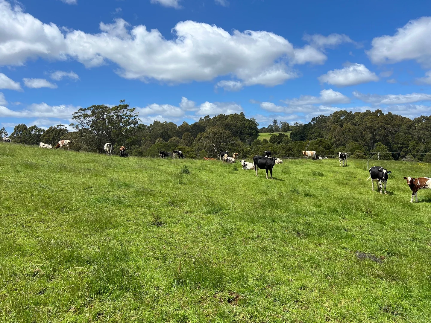 Additional image 6 of 1119 Mawbanna Road, Mawbanna TAS 7321