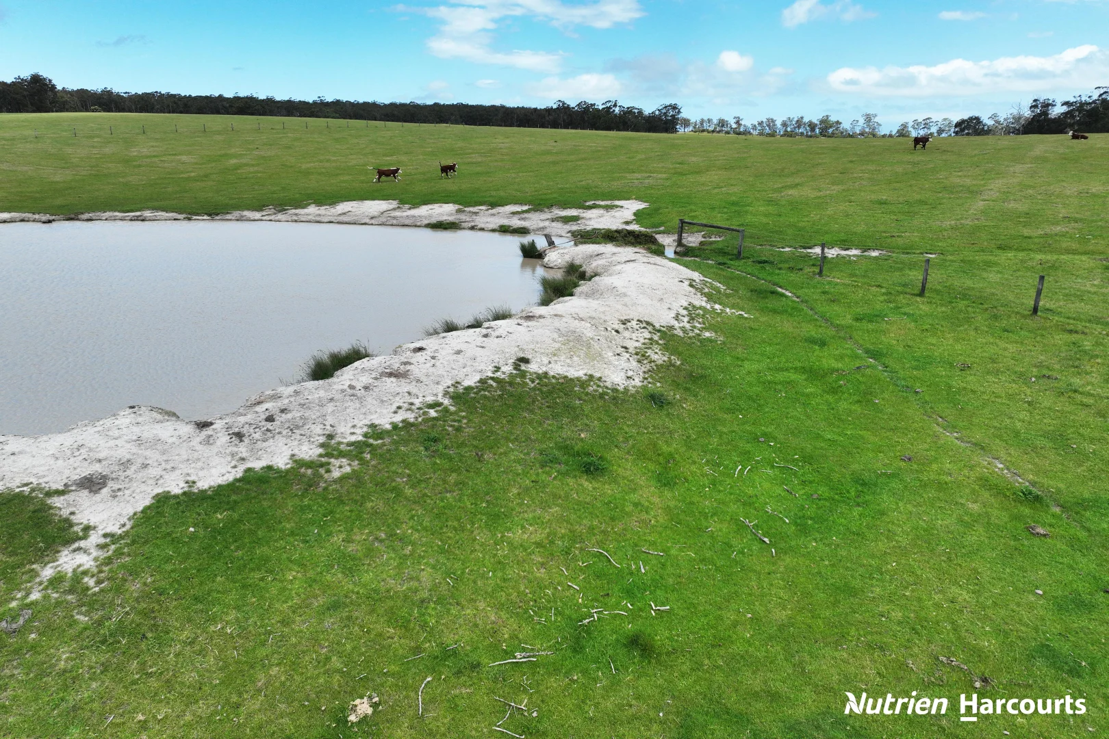 Additional image 5 of Lot2/LP122970 Hyland Highway, Won Wron VIC 3971