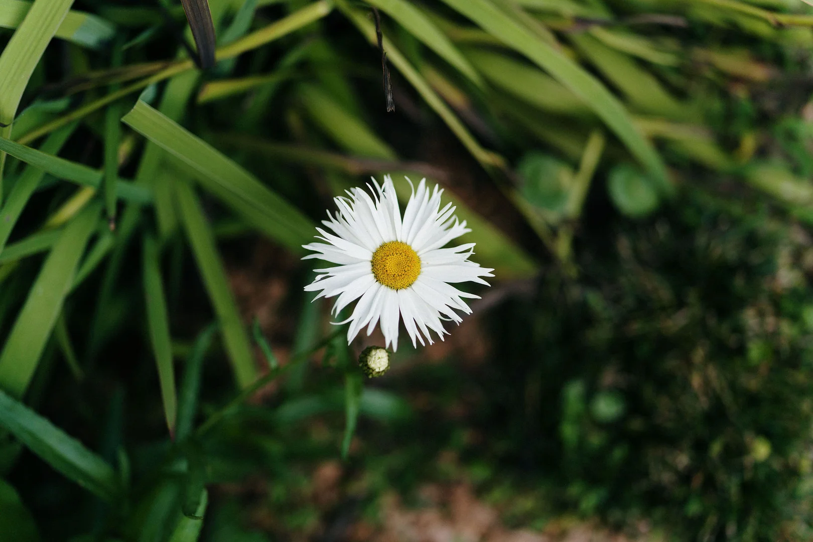 Additional image 26 of 10 Patricia Place, Killcare NSW 2257