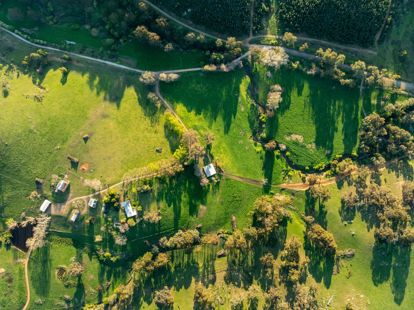 Additional image 32 of 315 Davies Road, Warrenbayne VIC 3670