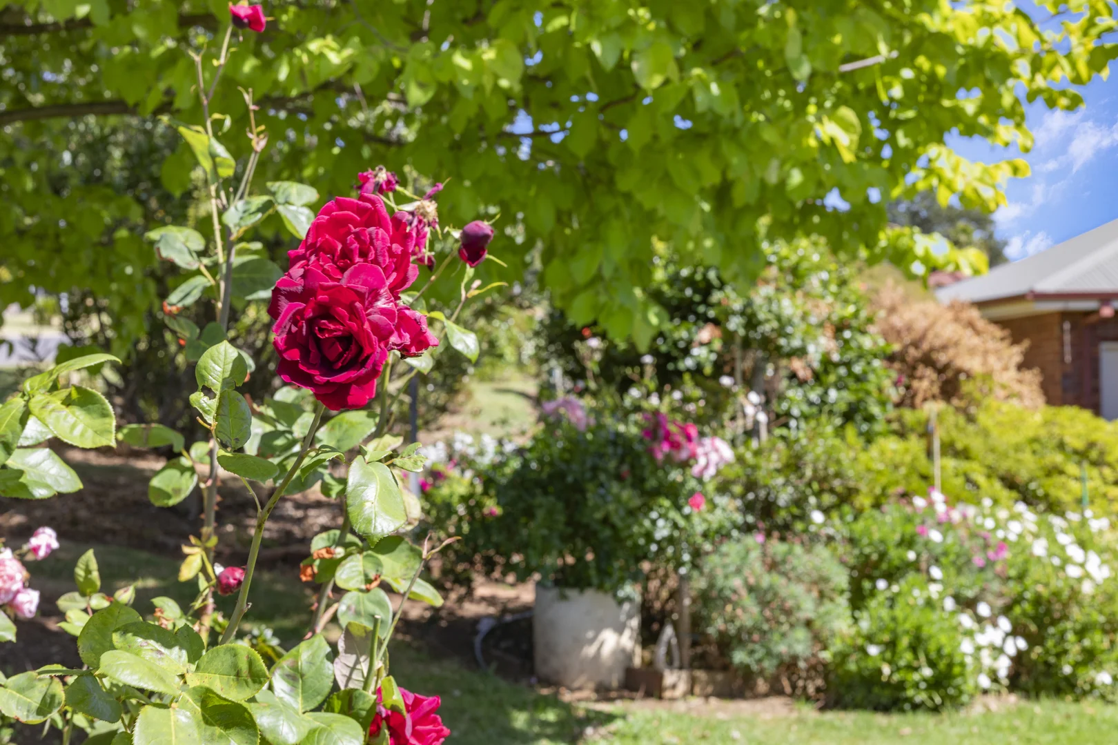 Additional image 26 of 1 Koonung Drive, Warragul VIC 3820