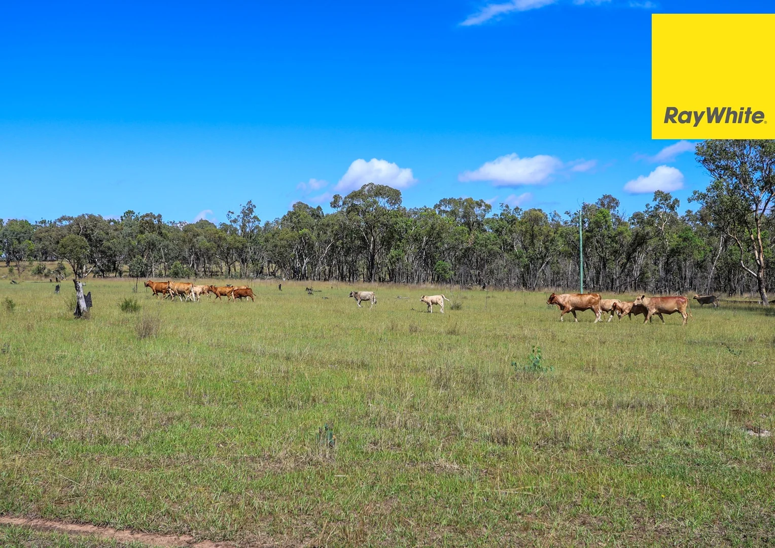 Additional image 46 of 404 New Valley Road, TINGHA, Inverell NSW 2360
