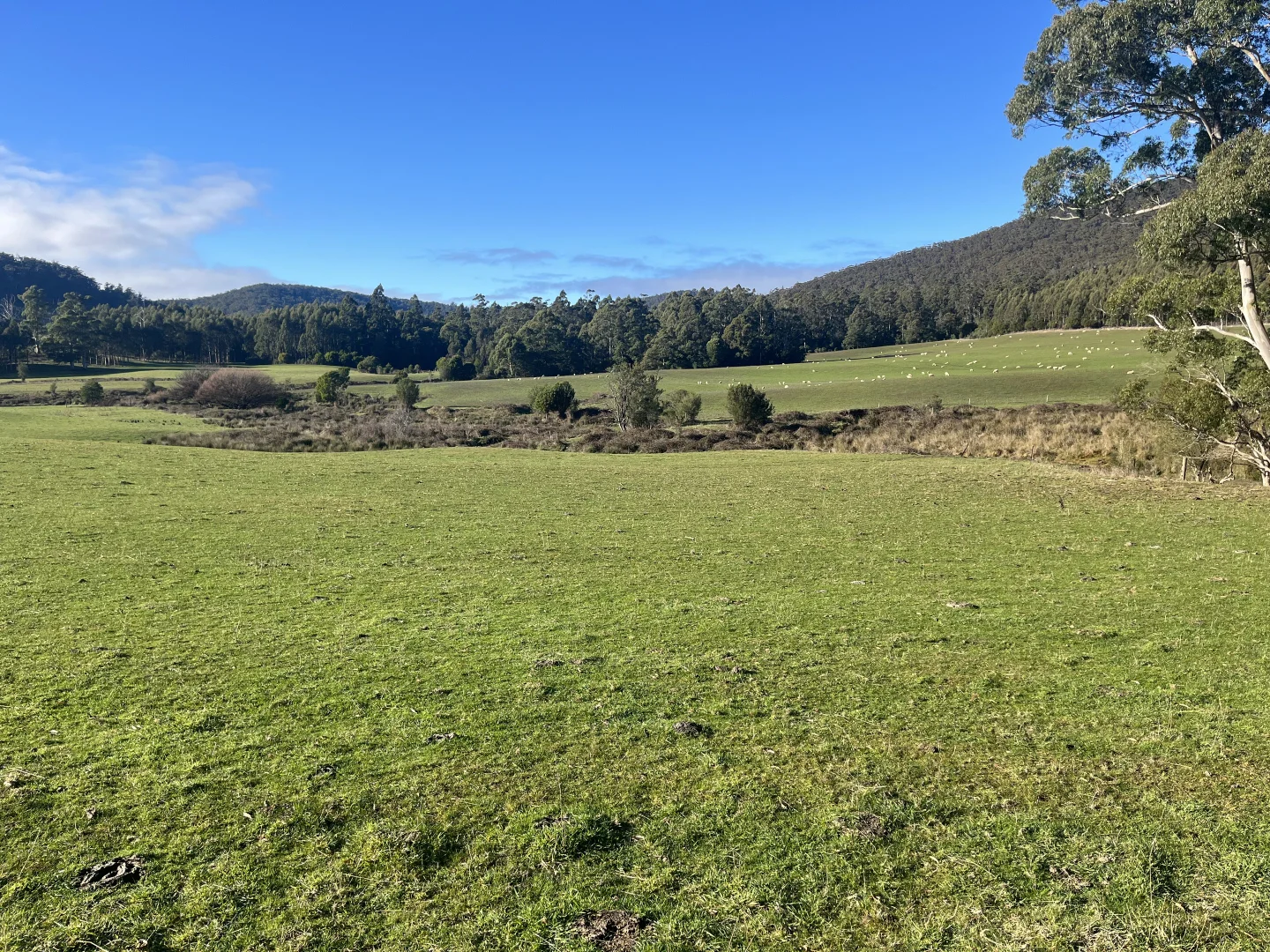 Additional image 7 of . Powers Road, Pyengana TAS 7216