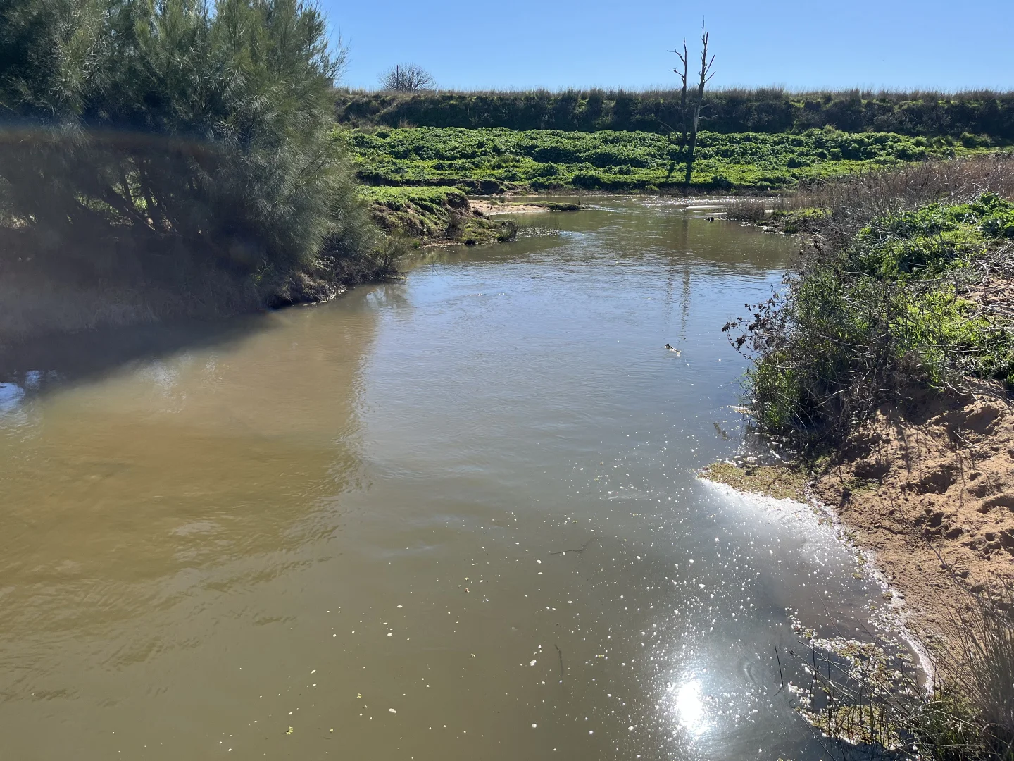 Additional image 24 of "Piambra" 714 Piambra Road, Binnaway NSW 2395