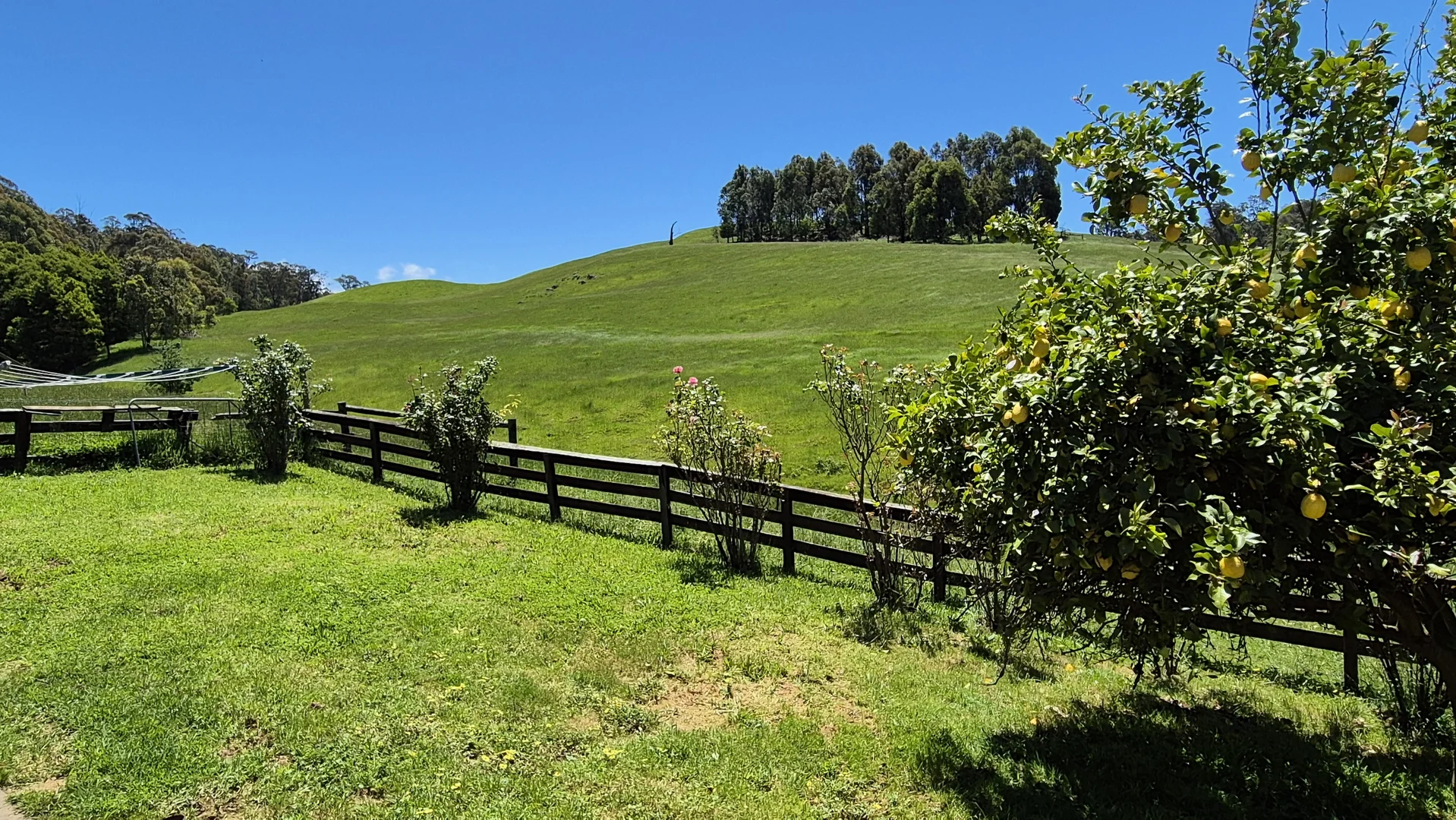 Additional image 24 of 735 Callignee South Road, Callignee VIC 3844