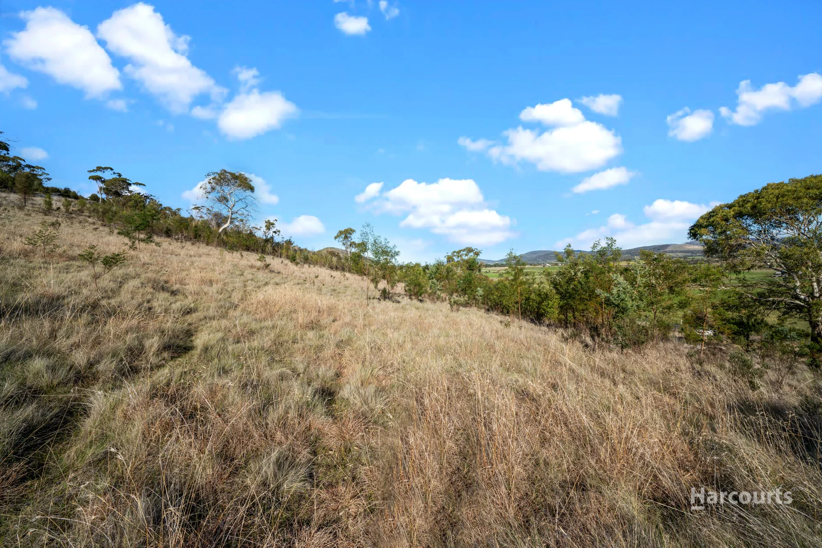 Additional image 8 of 212 Middle Tea Tree Road, Richmond TAS 7025