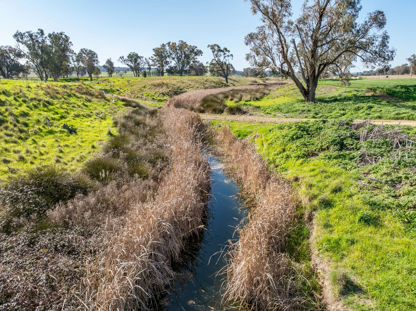 Additional image 12 of Bumbaldry Road, Greenethorpe NSW 2809