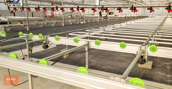 Additional image 6 of Peats Ridge NSW 2250