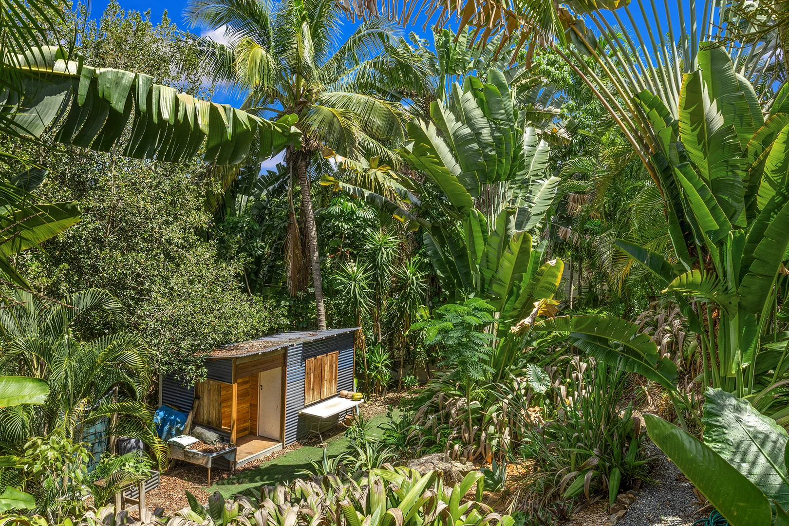 Additional image 28 of 2 South Molle Boulevard, Cannonvale QLD 4802