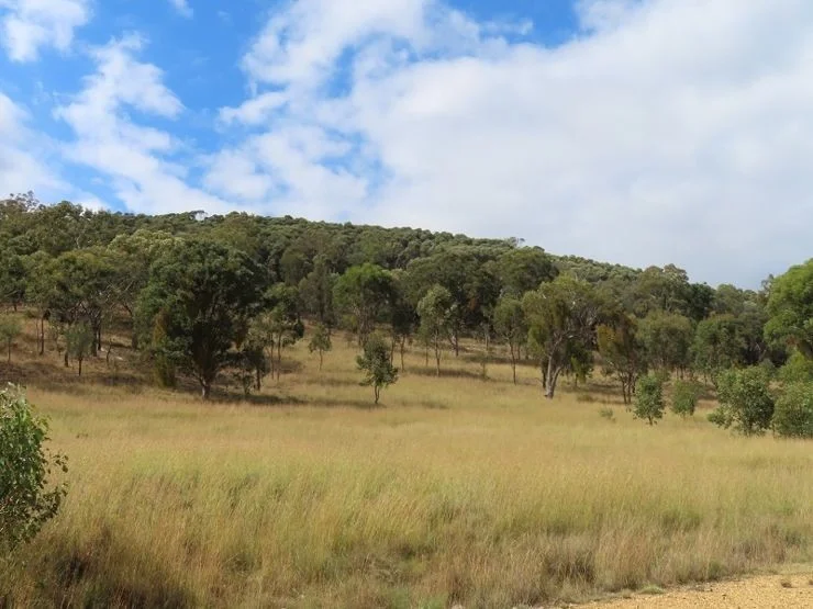 Additional image 5 of Lot 13 Saxby Road, Ballandean QLD 4382
