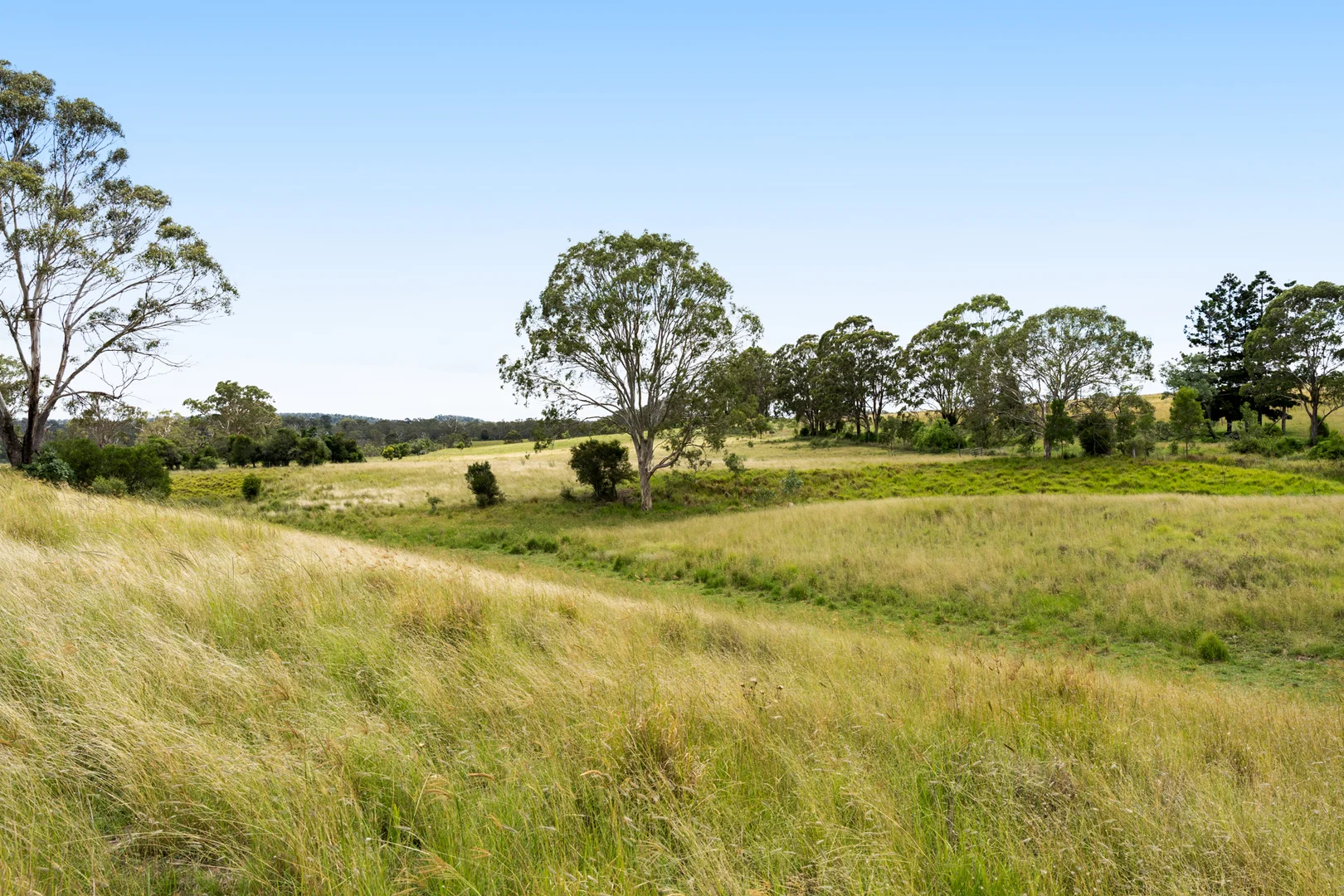 Additional image 14 of 138 Djuan Road, Crows Nest QLD 4355