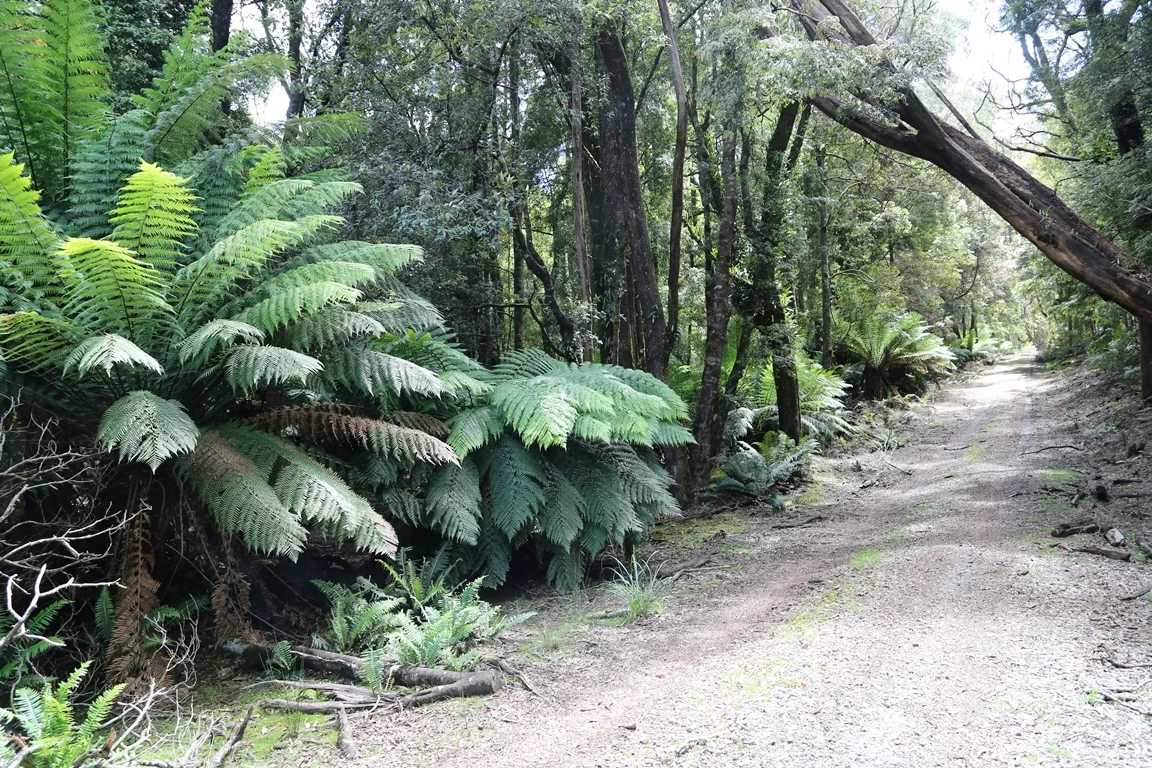 Additional image 5 of 1 Croles Road, Trowutta TAS 7330
