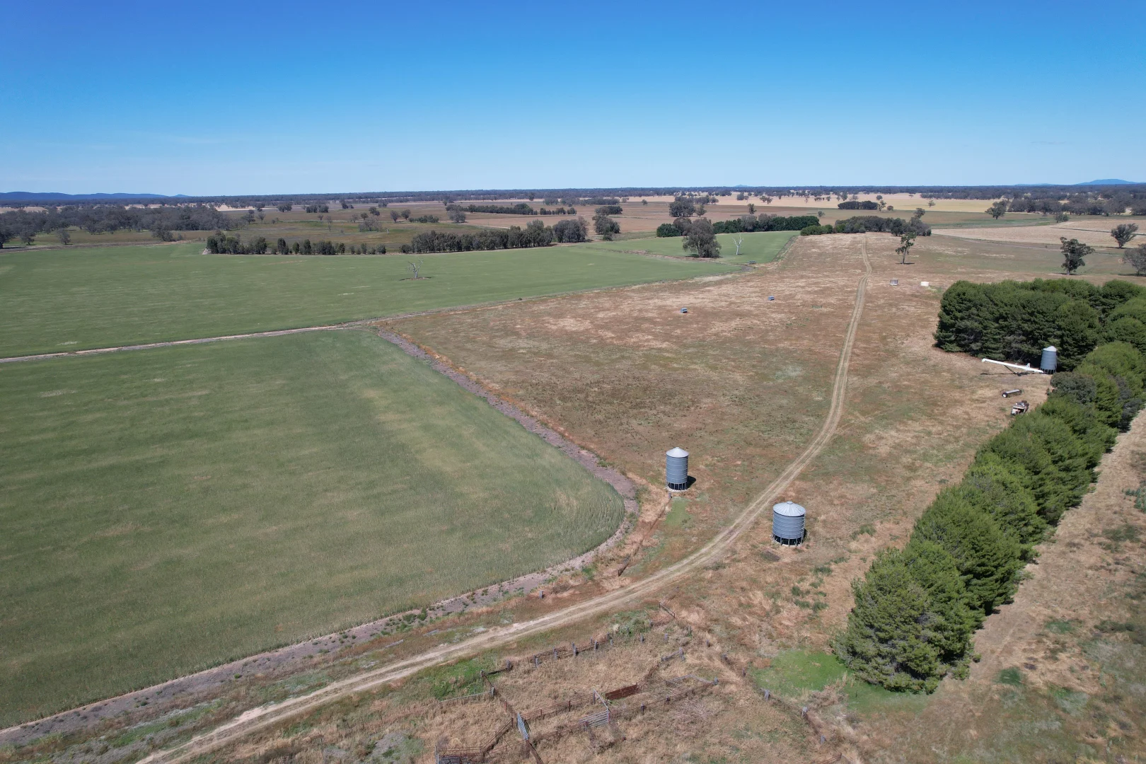 Additional image 19 of 2071 Yarrabandai Road, Bedgerabong NSW 2871