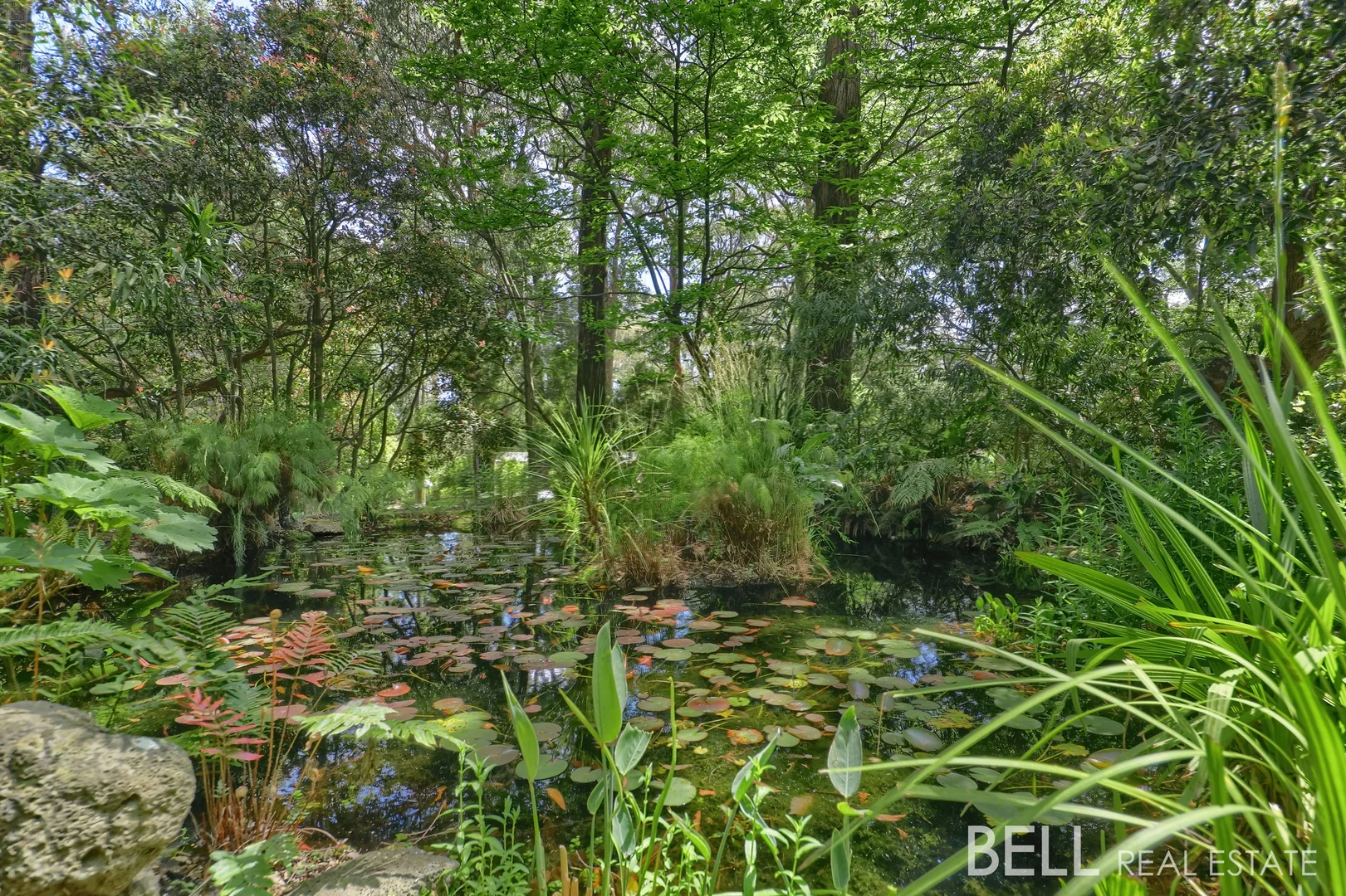 Additional image 18 of 5 Curtis Road, Emerald VIC 3782