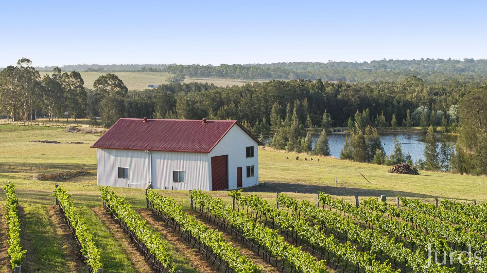 Additional image 21 of 110 Old North Road, Pokolbin NSW 2320