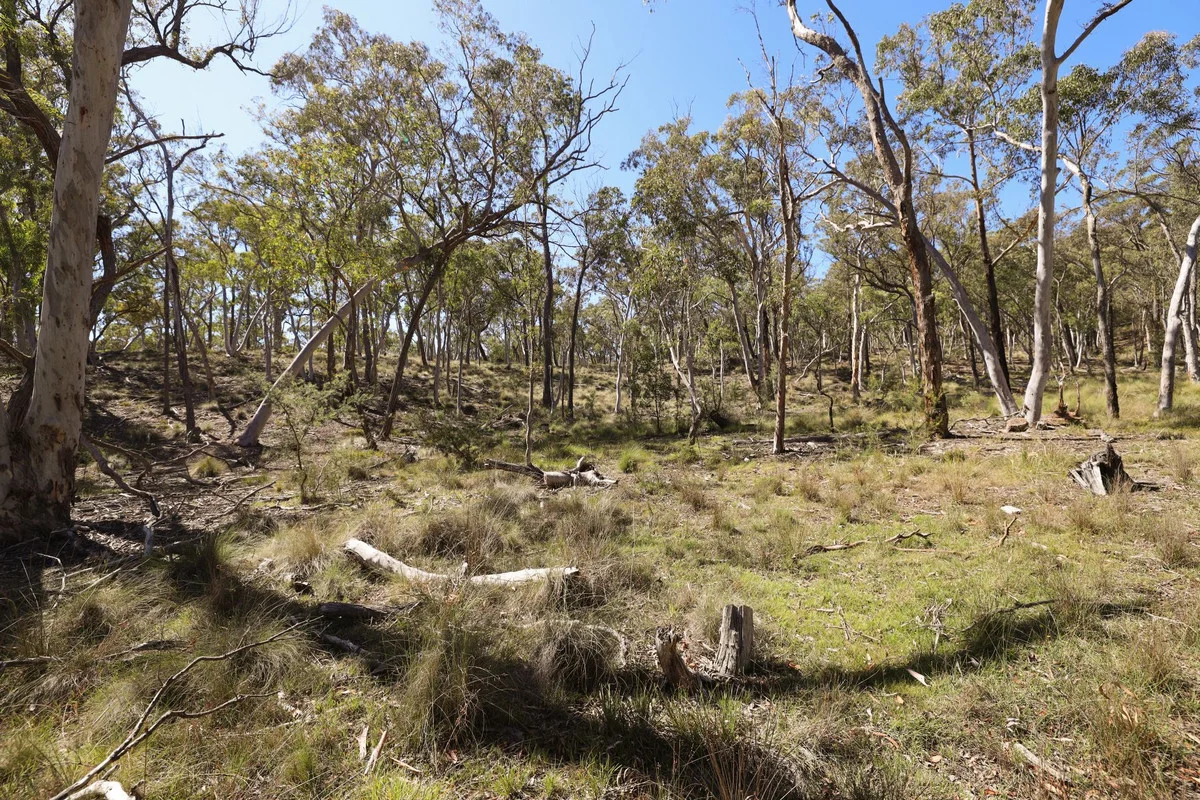 Additional image 10 of 494 Jerralong Road, Oallen NSW 2622