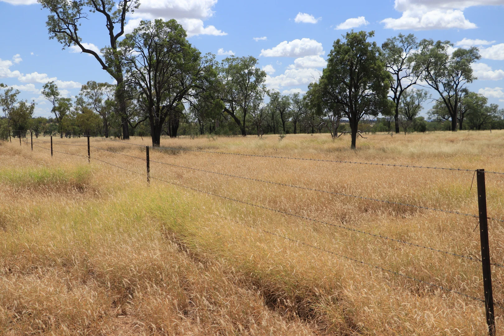 Additional image 22 of 205 Redbank Road, Roma QLD 4455