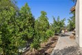 Additional image 44 of 31527 Aguacate Rd, San Juan Capistrano, CA, 92675