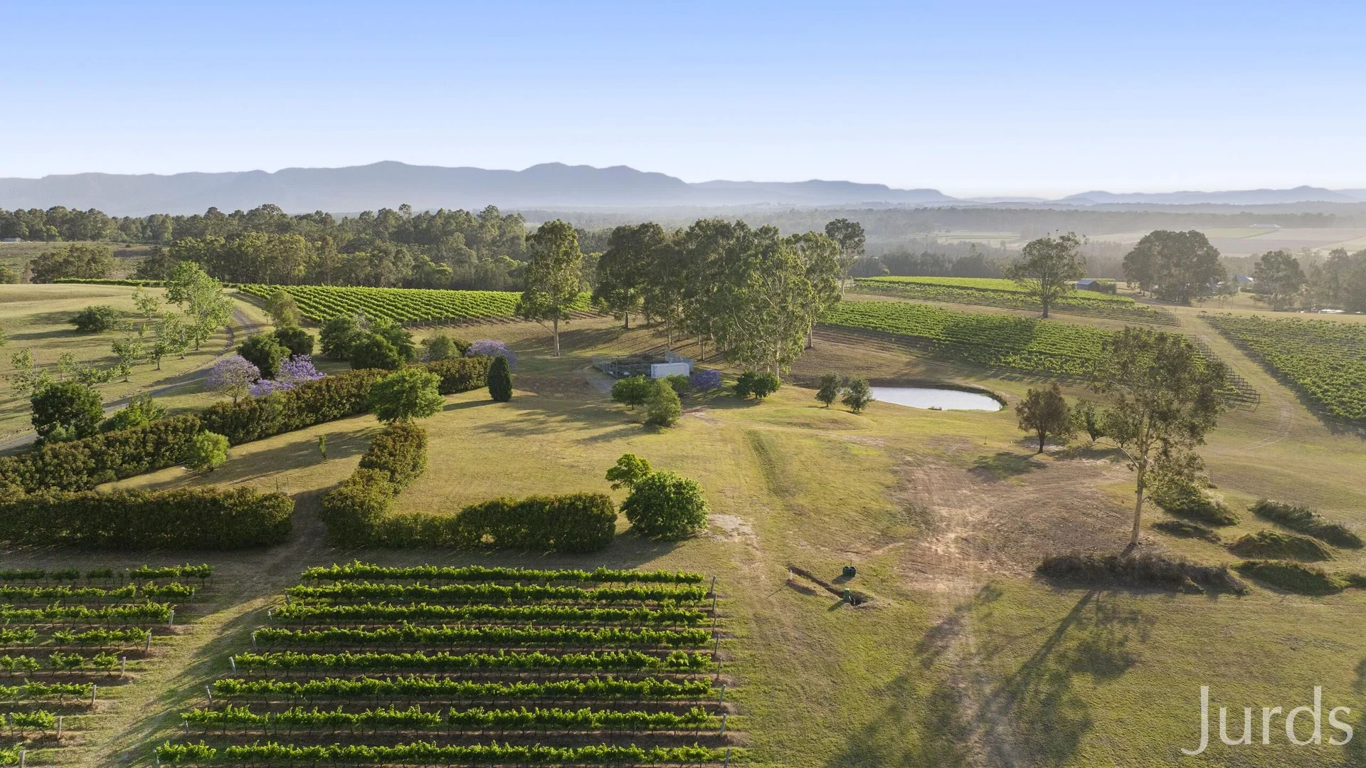 Additional image 10 of 110 Old North Road, Pokolbin NSW 2320