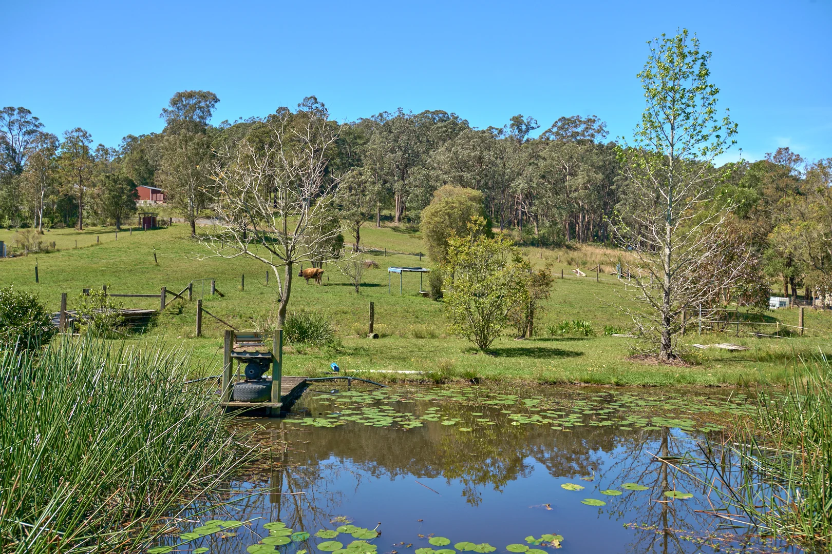 Additional image 24 of 48 Markwell Back Road, Bulahdelah NSW 2423