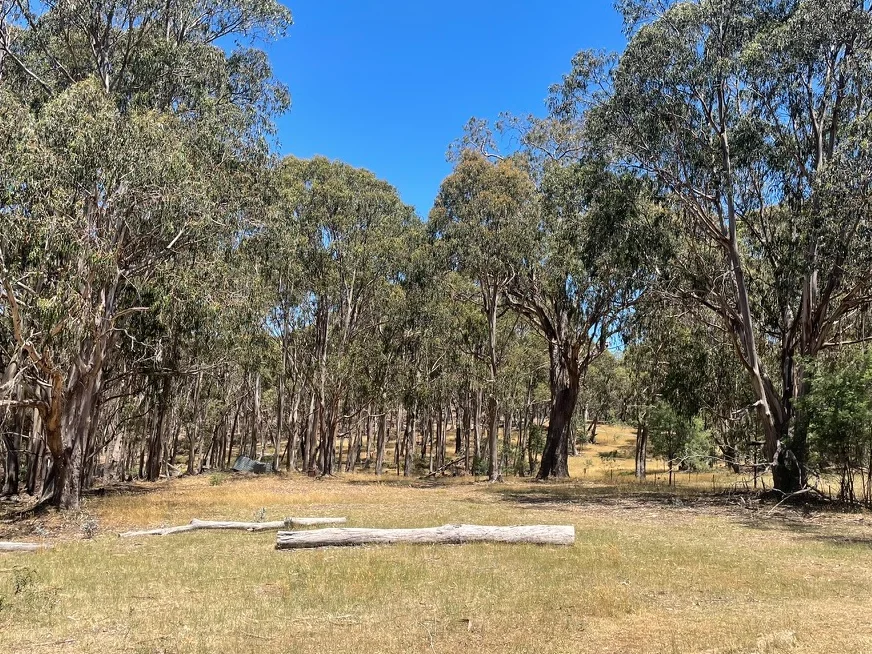 Additional image 16 of Strathbogie VIC 3666