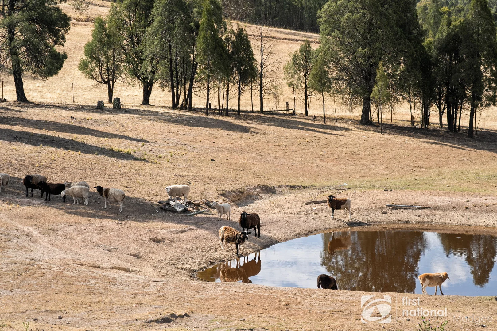 Additional image 11 of 278 Windeyer Road, Mudgee NSW 2850