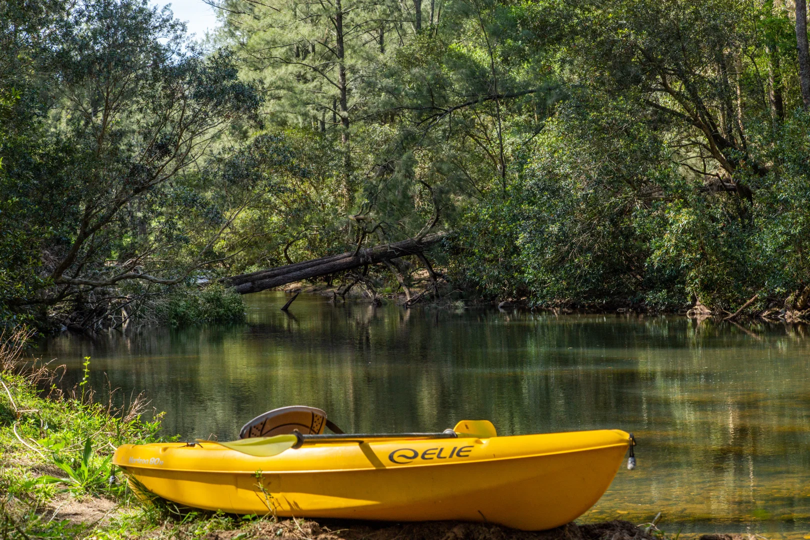 Additional image 41 of 910 Upper Kangaroo River Road, Kangaroo Valley NSW 2577
