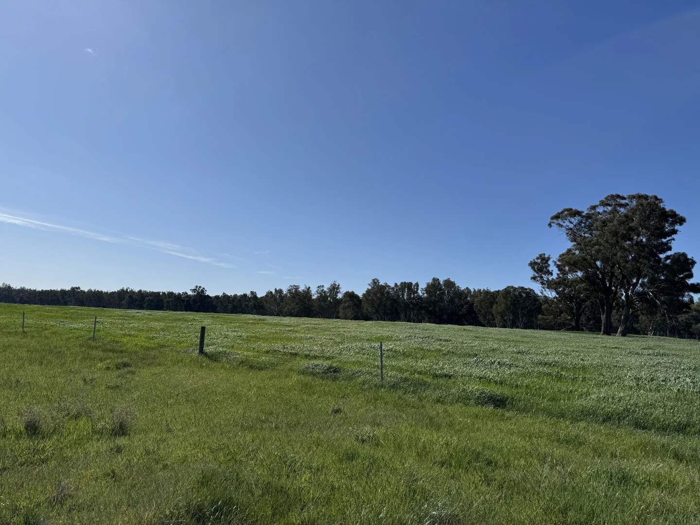Additional image 38 of . Bangerang Road, Kanyapella VIC 3564