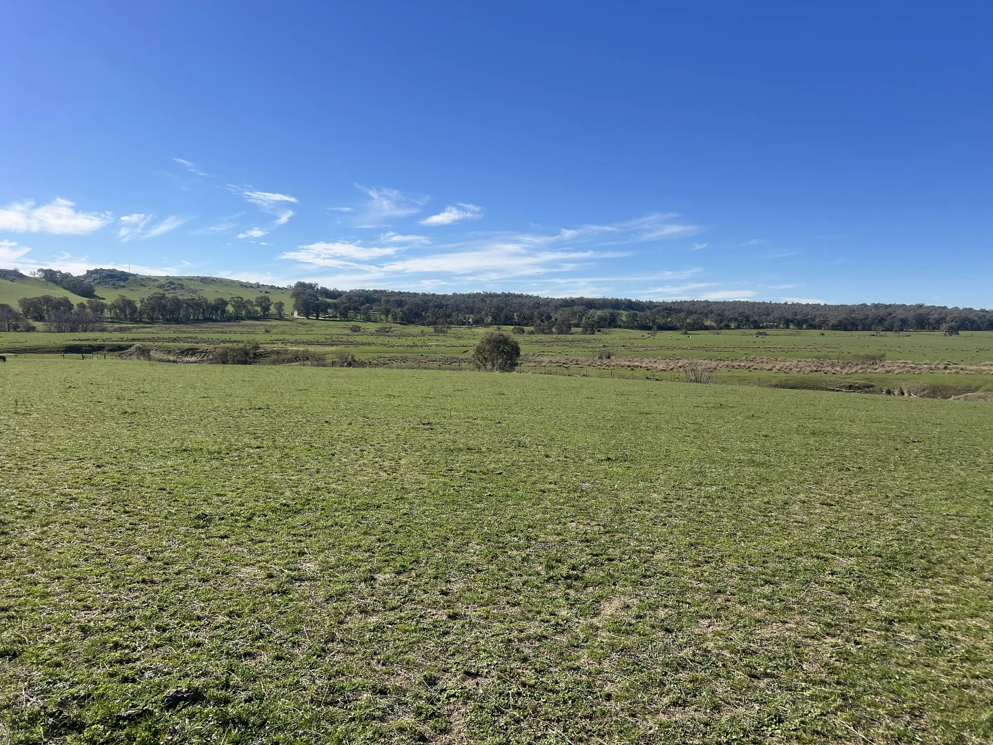 Additional image 10 of Cheesley Gate Road, Indigo Valley VIC 3688