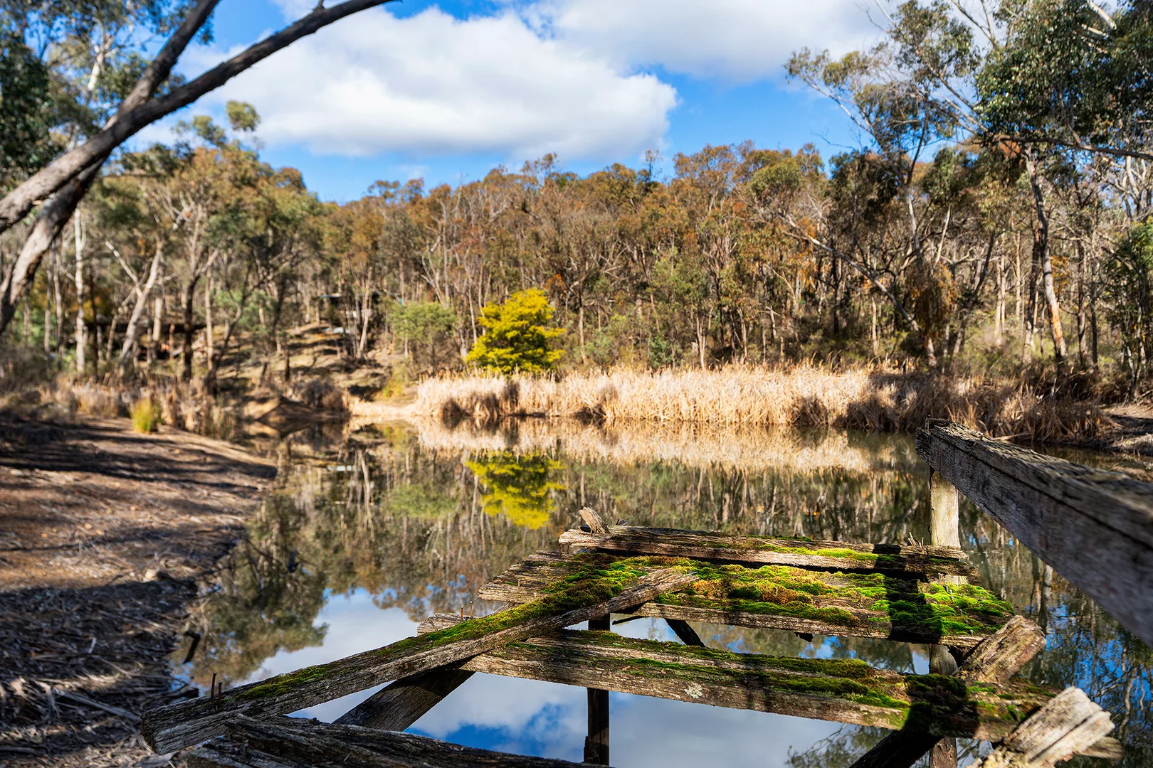 Additional image 8 of 132 Nalya Court, Drummond North VIC 3446